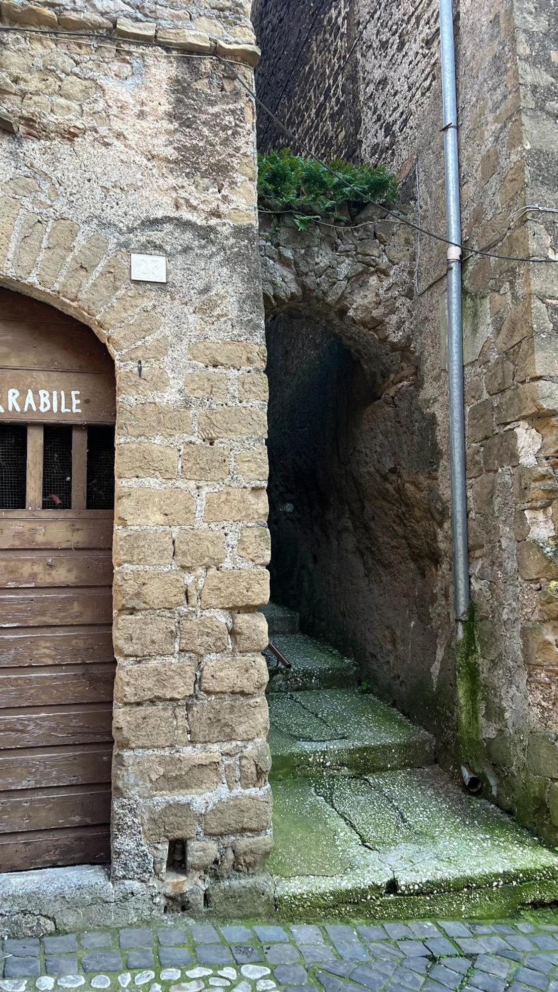 Collacchio 24 Genazzano Dış mekan fotoğraf
